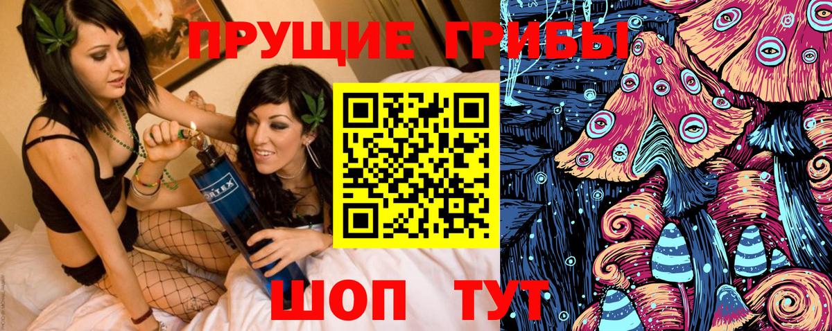 Хабаровск  Галлюциногенные грибы прущие грибы  что такое   Вход с VPN 